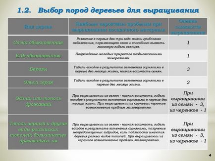 Előadás - tanulmány „hogyan növekszik a fa” (lő eredményeként árnyékoló) Előadás - tanulmány „hogyan növekszik a fa”