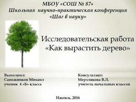 Презентація - дослідницька робота «як виростити дерево»