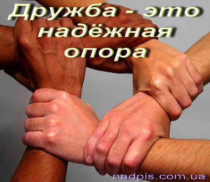 Vicces képek a barátság szavak (35 fotó) - vicces kép és humor (vicces) Vicces képek a barátság szavak (35 fotó) - vicces kép és humor