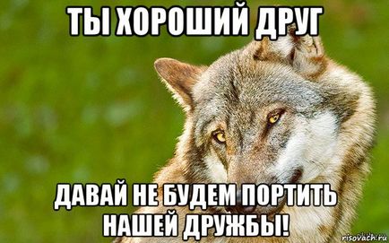 Прикольні картинки про дружбу зі словами (35 фото) - прикольні картинки і гумор