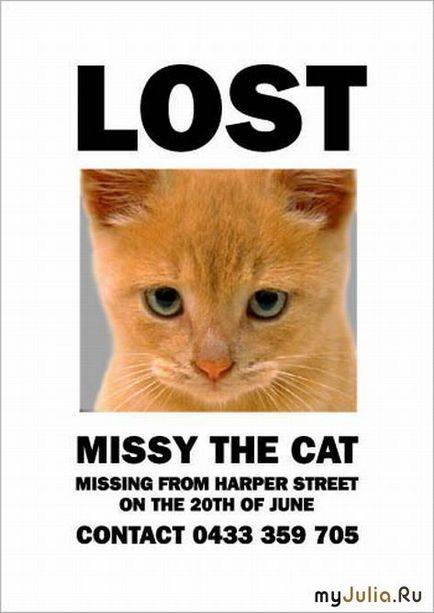 Missing Miss (corespondența secretarului cu designerul) jurnal al grupului - pisici - aceasta este pisica grupului -