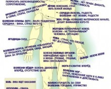 Psychosomatics of Louise Hey - tabel de boli ale coloanei vertebrale
