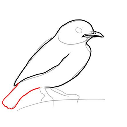 Birds cum să deseneze o albastră coting