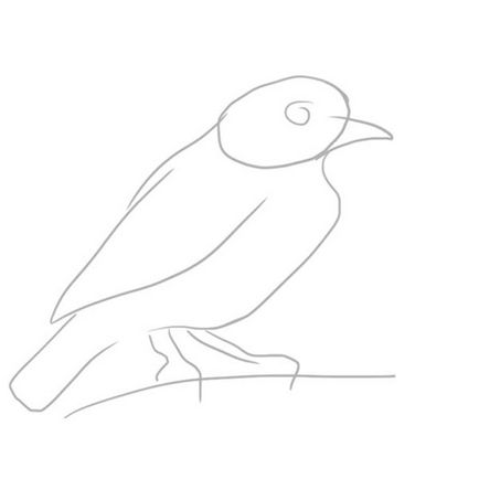 Птахи як намалювати синього котінга