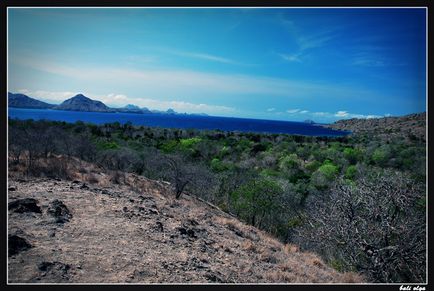 Utazzon Komodo, Rinca és (start), az idegenvezető Bali