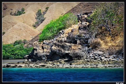 Călătorie spre Komodo, Rincha și de la (Început), Ghid pentru Bali