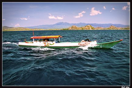 Călătorie spre Komodo, Rincha și de la (Început), Ghid pentru Bali