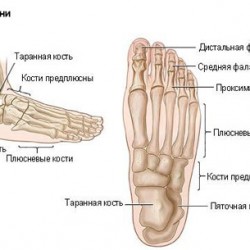 П'яткова шпора як виглядає і звідки виникає