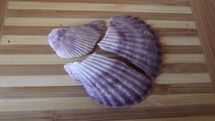 Shells vin în diferite frumoase și teribile - târg de meșteșugari - manual, manual