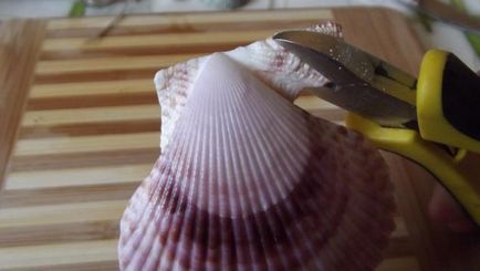 Kagyló jönnek a különböző szép és szörnyű - Fair Masters - kézzel készített, kézzel készített