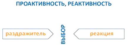 розвиток проактивности