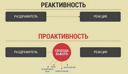 розвиток проактивности