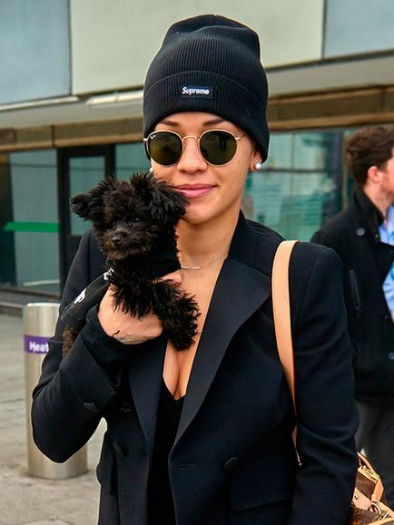 Rihanna és Kate Moss Csillag, amelynek eredményeként - tervezés - kutyafajták, kozmopolita magazin (Star) Rihanna és Kate Moss Csillag, amelynek eredményeként - tervezés - kutyafajták, kozmopolita magazin
