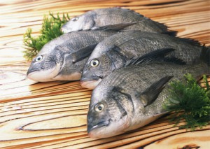 Риба дорі - користь і шкода, як приготувати, корисні властивості і протипоказання