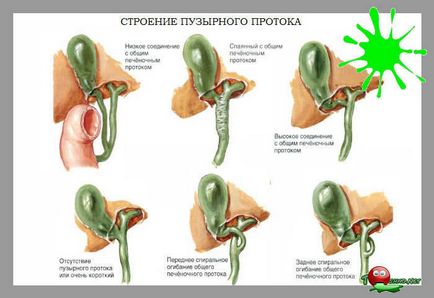 Блювота жовчю у дитини - лікування нудоти-блювоти