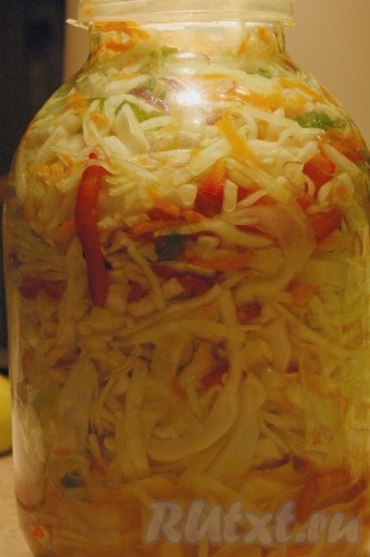 Салатна капуста - рецепт з фото
