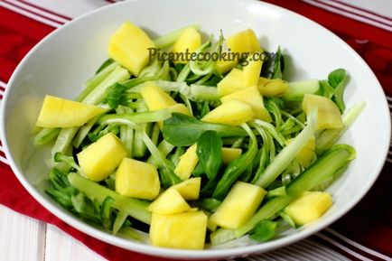 Salata cu carne de pui si mango, picantecooking