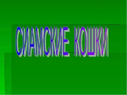 Сіамські кішки - презентація до уроку навколишній світ