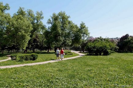 Lilac grădină din Moscova pe autostrada de flori Szczelkowski de liliac