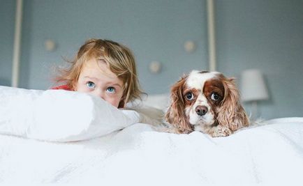 Sfaturi pentru părinți să aleagă un câine mic pentru un copil