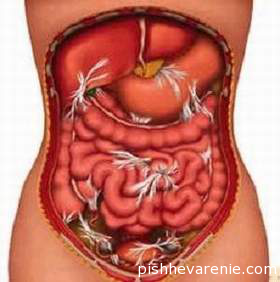 Simptomele inflamației intestinale și tratamentul cu medicamentele folclorice - bolile intestinale -if () - endif -