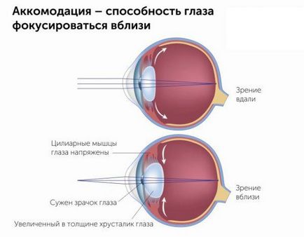 Спазм акомодації у дітей симптоми і лікування за кодом МКБ-10, як зняти обох очей