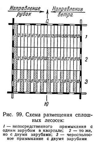 Суцільні лісосічні рубки лісу