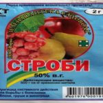 Строби для винограду інструкція по застосування фунгріціда