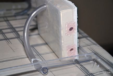 Építése mesterséges hangyaboly - hírek képekben (mesterséges) Építése mesterséges hangyaboly - hírek képekben