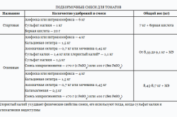 Criteriile de selecție a roșiilor de seră și caracteristicile de creștere