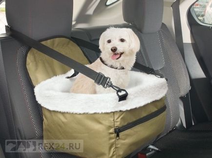 Transportul câinilor în centurile de siguranță pentru câini - articole de casă, alegere, îngrijire
