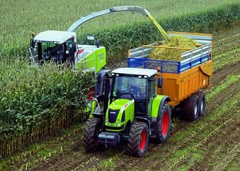 Kukorica betakarítás módszerek és időt