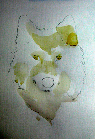 Урок малювання аквареллю - полярний вовк, урок аквареллю, урок малювання аквареллю