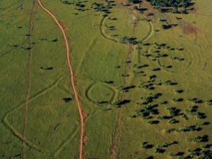 A dzsungel az Amazon talált nagy kép, mint a Nazca (2 kép), a világ tengelye