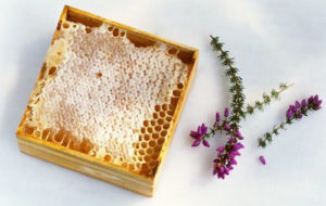 Вересовий мед корисні властивості