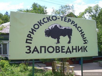 Vizitarea bisonului