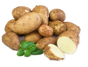 Cultivarea cartofilor într-o seră