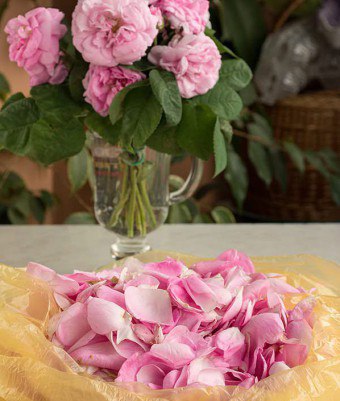 Gem delicios de la petale de trandafir cum să gătești, să folosești