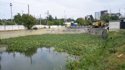 Nu cunosc un alt râu, istoria meotida, cultura, natura Donului inferior și a Mării Azovului