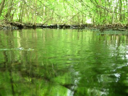 Nu cunosc un alt râu, istoria meotida, cultura, natura Donului inferior și a Mării Azovului