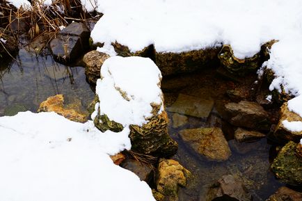 Nu cunosc un alt râu, istoria meotida, cultura, natura Donului inferior și a Mării Azovului