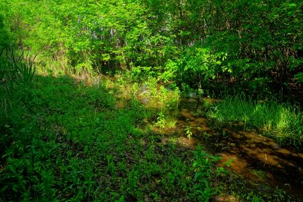 Nu cunosc un alt râu, istoria meotida, cultura, natura Donului inferior și a Mării Azovului