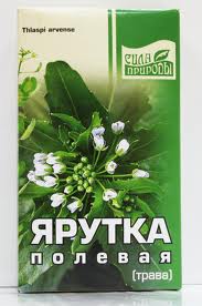 Domeniul Yarulka - proprietăți medicinale, rețete, utilizare în medicina populară și contraindicații