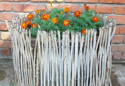 Fence palisade caracteristici montaj și fotografie garduri, casa de vis