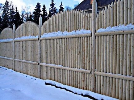 Fence palisade caracteristici montaj și fotografie garduri, casa de vis