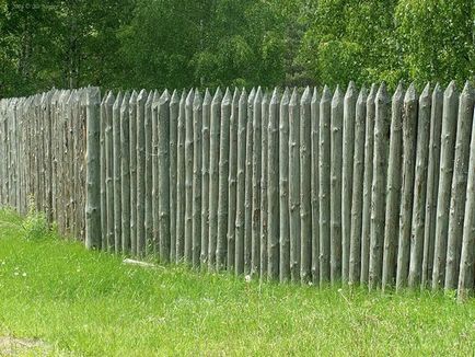 Fence palisade caracteristici montaj și fotografie garduri, casa de vis