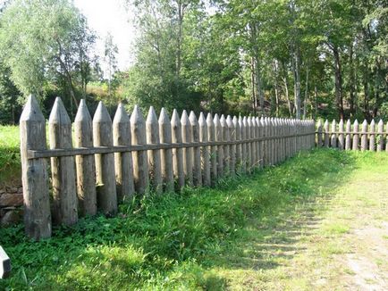 Fence palisade caracteristici montaj și fotografie garduri, casa de vis