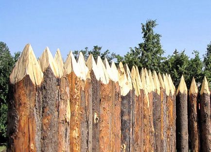 Fence palisade caracteristici montaj și fotografie garduri, casa de vis