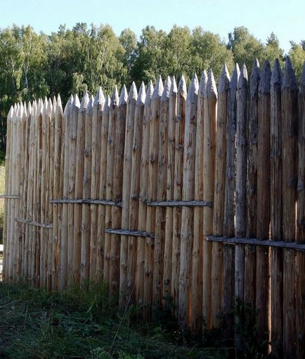 Fence palisade caracteristici montaj și fotografie garduri, casa de vis