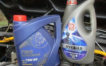 Înlocuirea uleiului în MPV VAZ 2109 câte litri, cum să umpleți, unde să umpleți